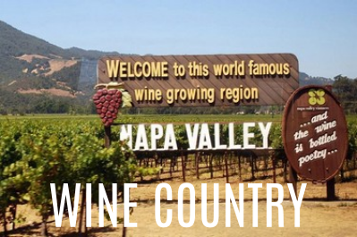Explore the Wine Country